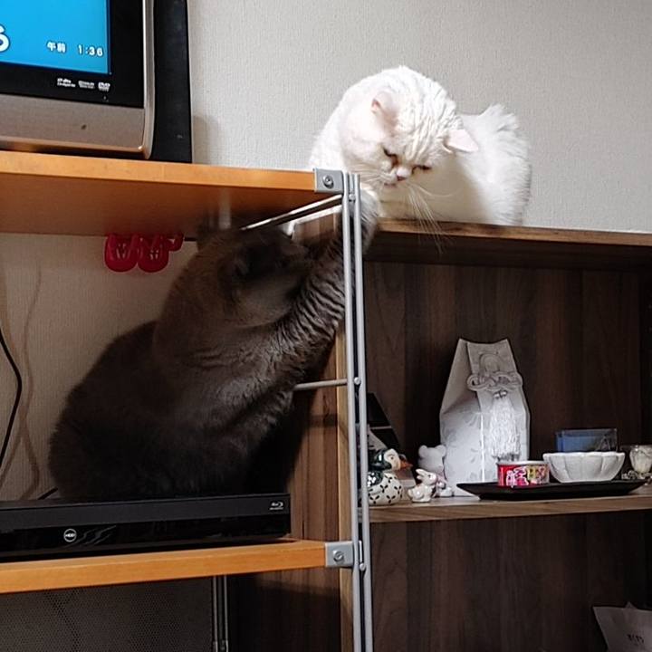 9b5704f1 4147 43aa 9fc1 70333f1679db 1708533757141