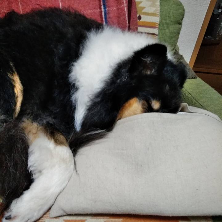 9b57231b 6aeb 4f6a 8977 406385c1197e 1525695422475