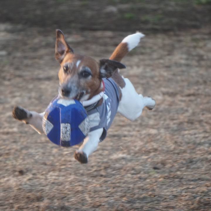 9b573ce1 f922 4910 80f5 f4c2a704e0eb 1614555915031