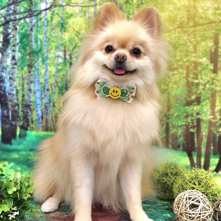 9b5763b2 39c2 4373 84fa 22349bdd1112 1757722073910