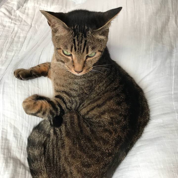 9b5773e6 7c8f 422b af98 70809ecb4924 1530234062891