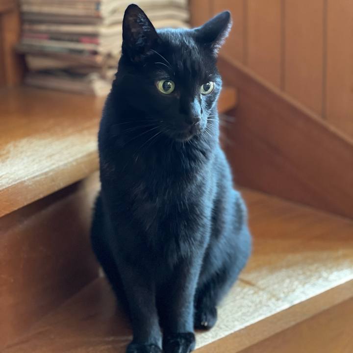 9b578846 0911 4999 8288 25696d975bff 1605749524069