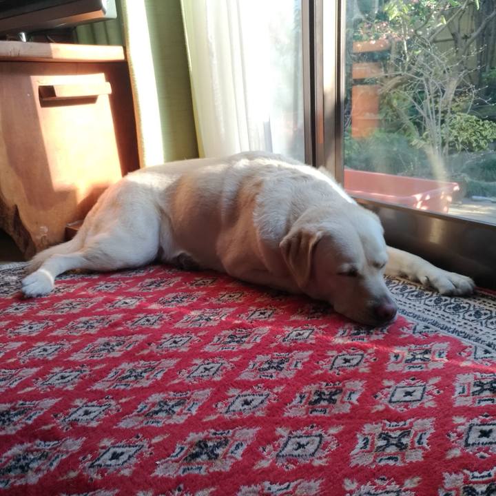 9b57a173 c8f6 4b90 955c 2fe44ac41096 1575102519545