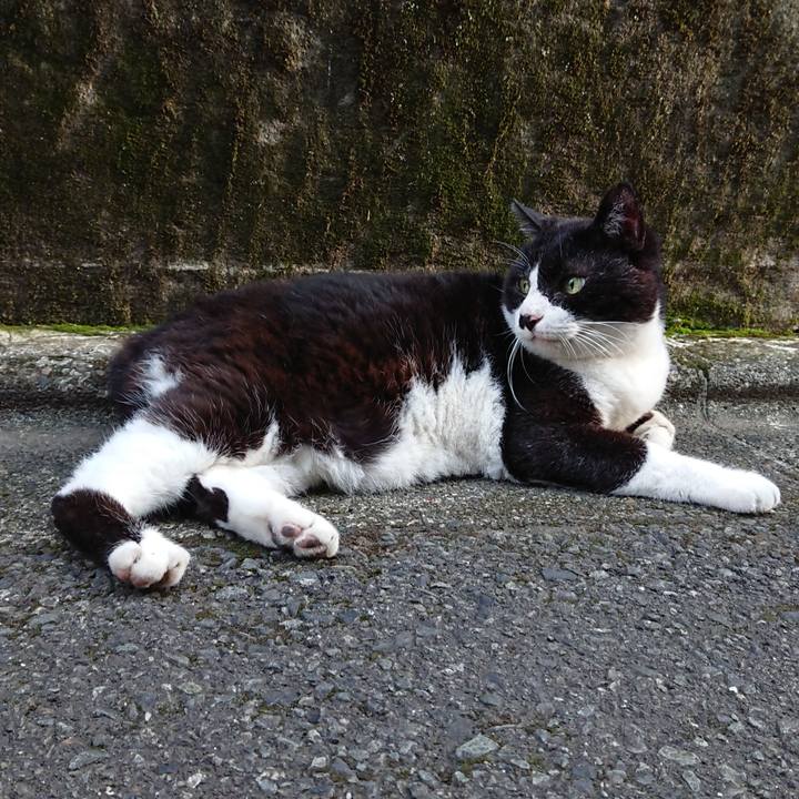 9b57d4f5 9eaf 46a1 9734 90ae61a66cc8 1658133880191