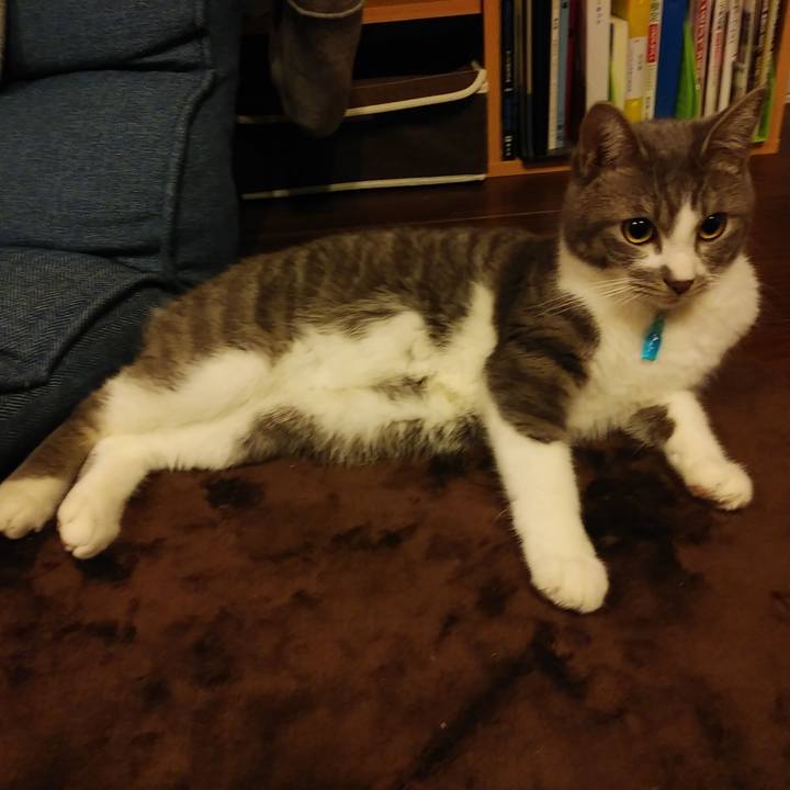 9b58043a 8e29 450a 8142 caefe8b461f1 1582731691488