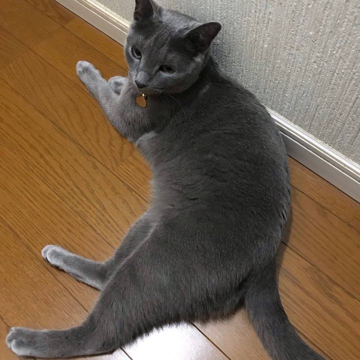 9b584914 874f 4f31 97ff d7dbcb6c4883 1628401542172