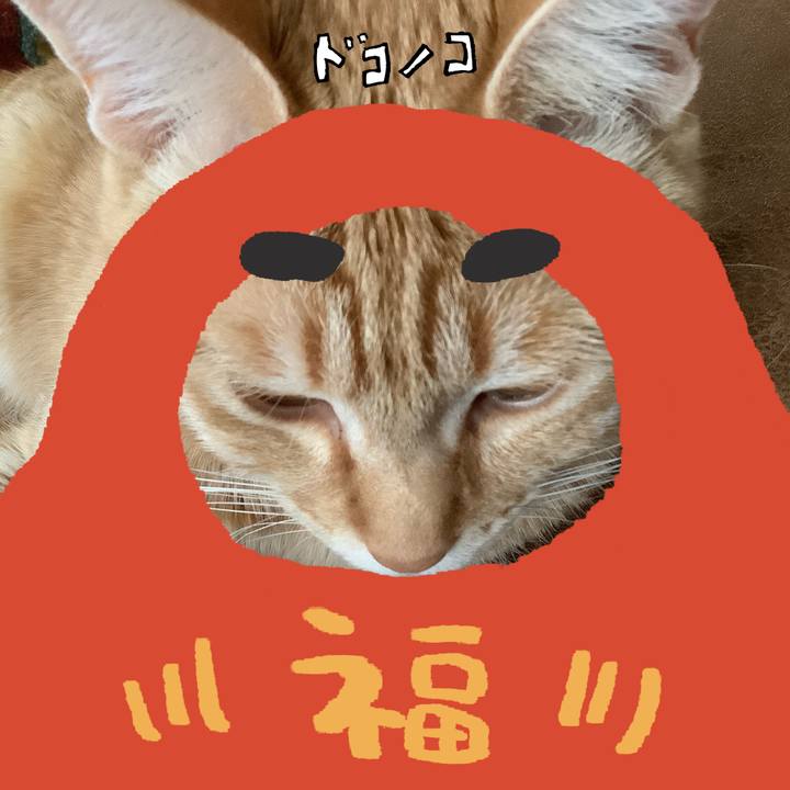 9b584db9 d7cf 4e35 86d9 94519af5820e 1771813419205