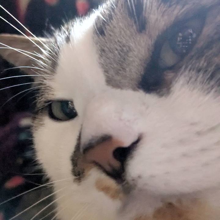 9b589a89 37fc 49c8 a0cd 6e22e24ac5bf 1745449794396