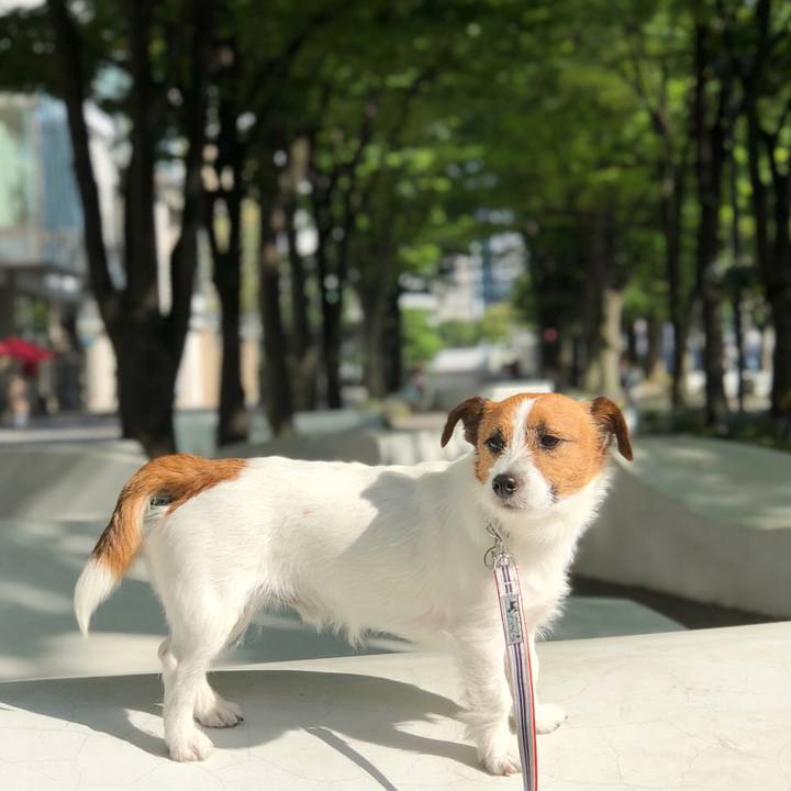 9b58b457 7203 4921 89cf 35d7c00a6984 1525959321449