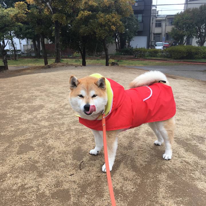 9b593dcf 5fd1 4433 93f3 85efe8e14c24 1583635781862