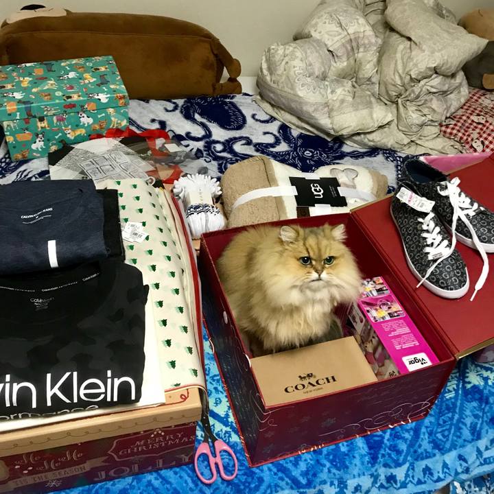 9b596217 d497 4d9d a6c5 bc7e57b10efe 1543141611001