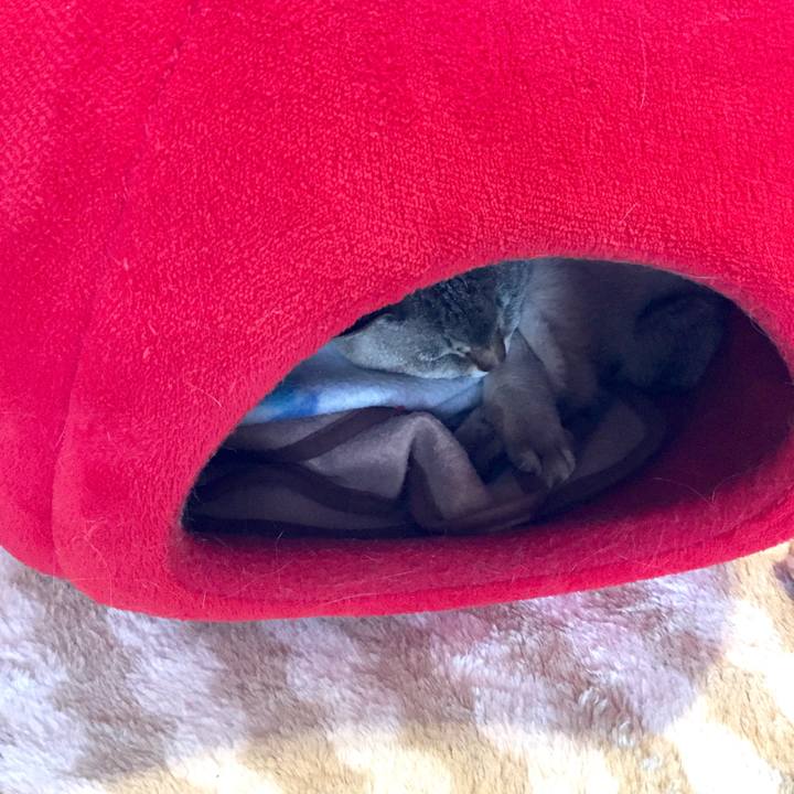 9b5987ef 74b4 4b26 bd27 e2b356da92fe 1586755136045