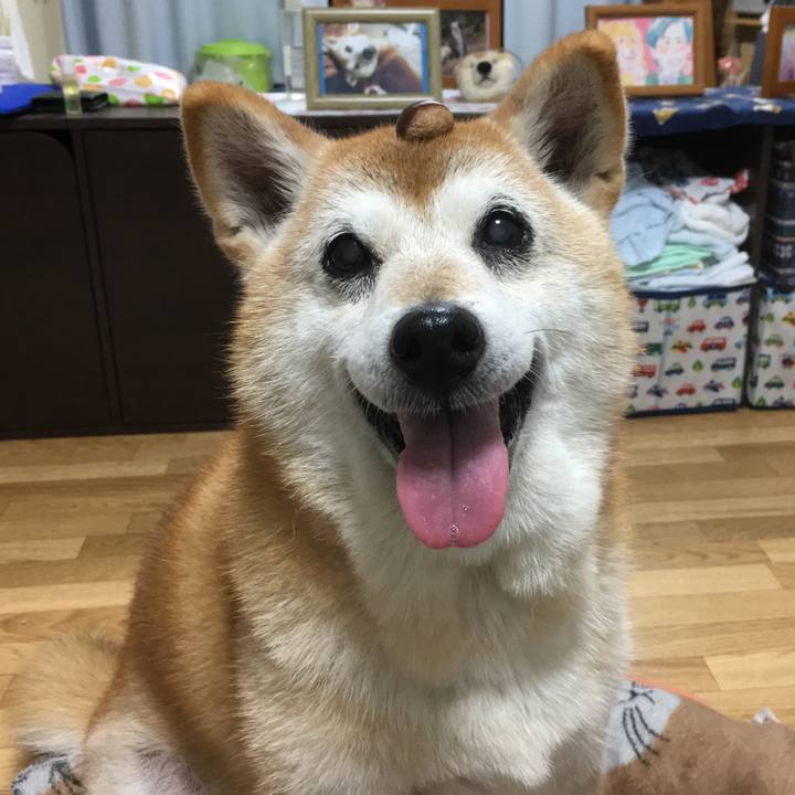 9b5a1a3b df6c 4c9a a78a d80362c456d0 1538910105167