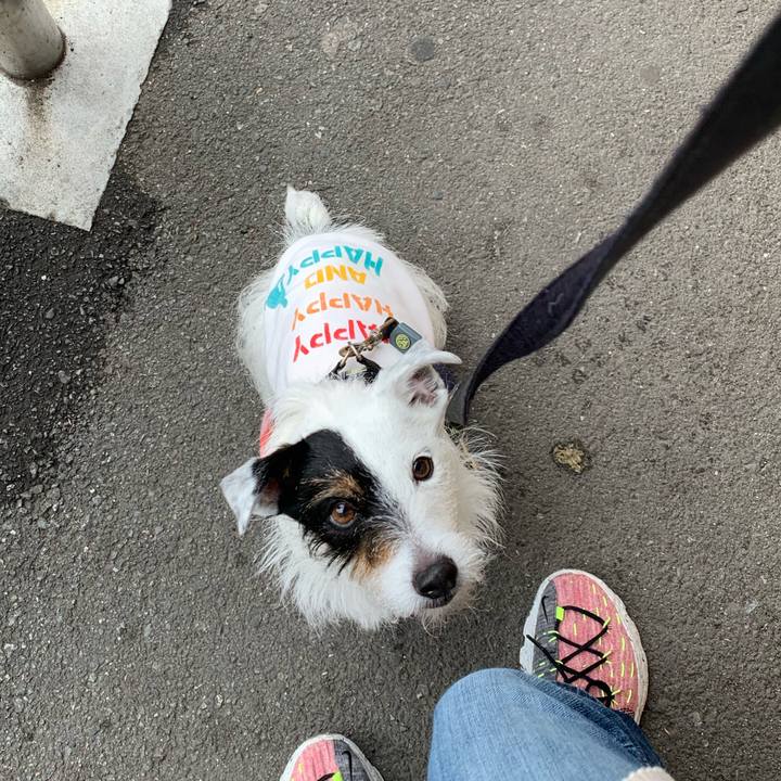 9b5ab2df 5221 4374 ae96 f88c19da3834 1650419720755