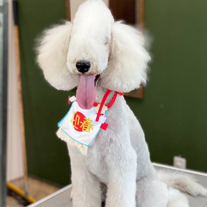 9b5afab2 2932 40cf 8bca cdb848f58574 1609070175277