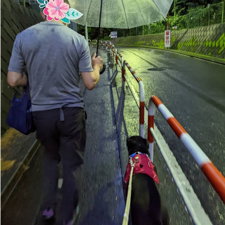 9b5b08b1 5f60 4ce7 8f54 13b22a9309cd 1657970583116