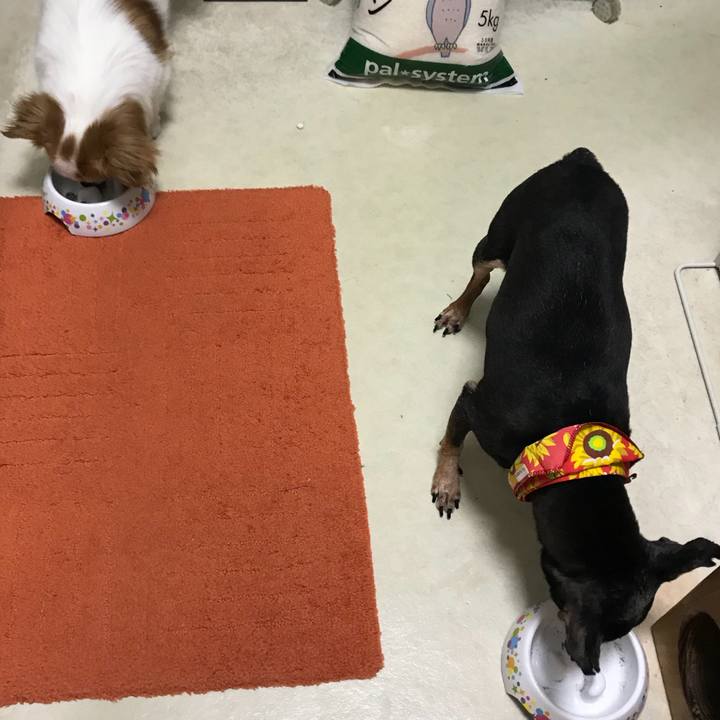 9b5b1cc0 a907 42e1 9da7 74bdf7550a44 1566437993941