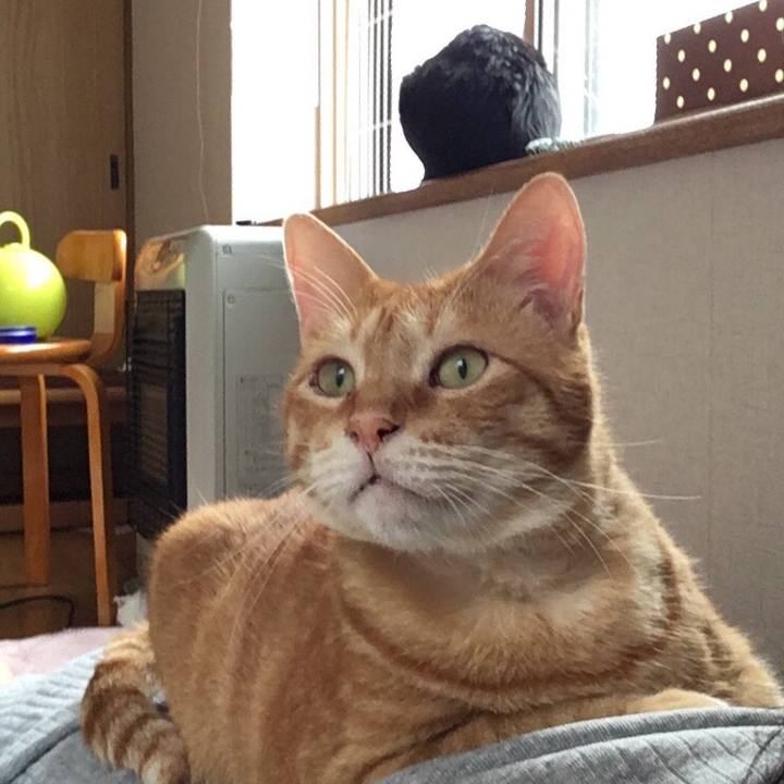 9b5b25c8 4c98 4904 b9c1 af48b5ea5e8e 1563088277004