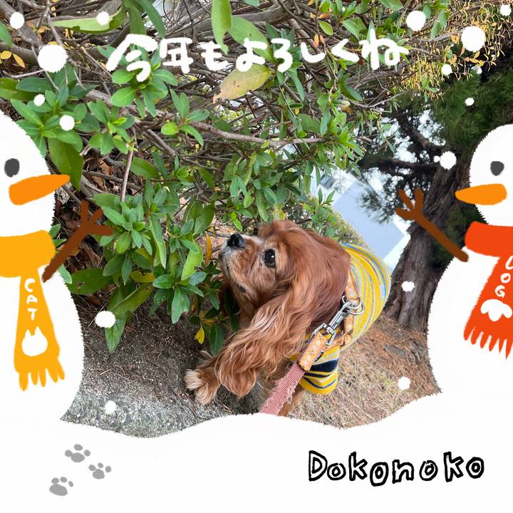 9b5b3f62 0265 4205 b75d e018f9d410ba 1704240867250