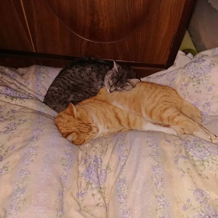 9b5b95df 6a3d 4594 920b 6dde589c8b98 1578672792515