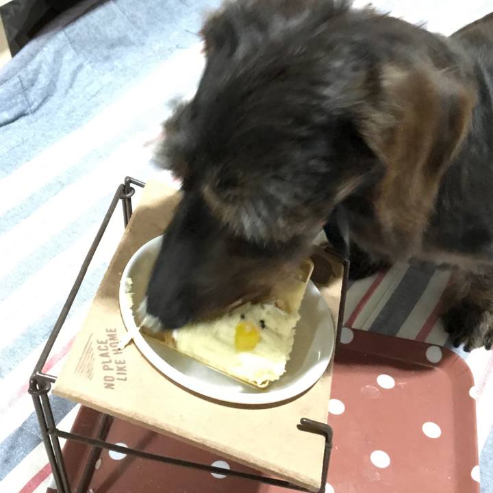 9b5bdea9 2587 4b48 92e2 93d02b04e95d 1559660027292