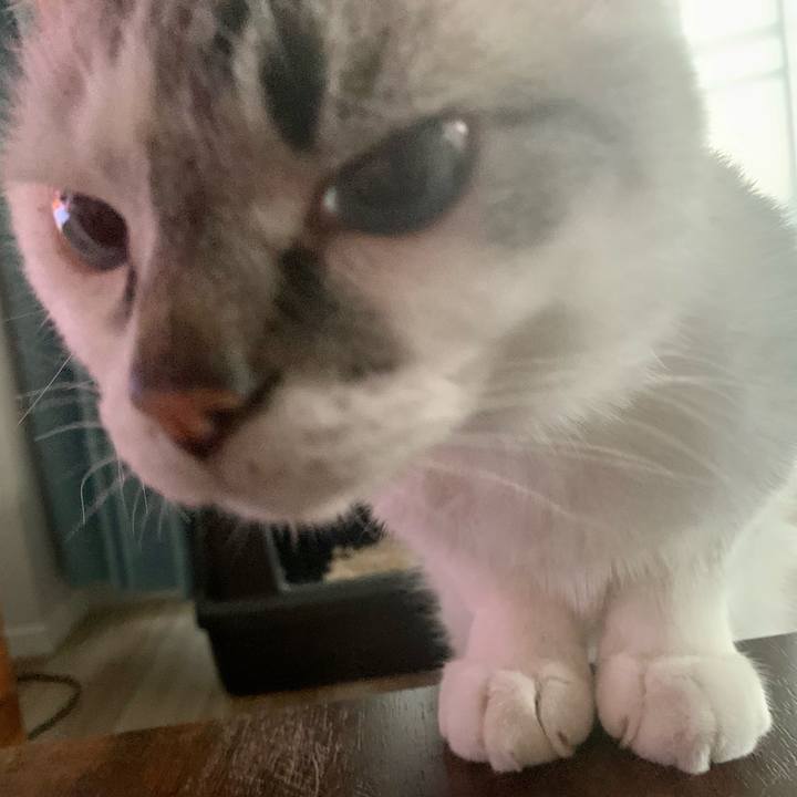 9b5c0c11 ec3d 405d a65e 91bfcfdcd418 1653471296288