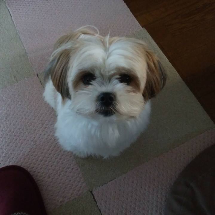 9b5c0e5c 26fe 4325 973e 5df5a12324a0 1512778119805