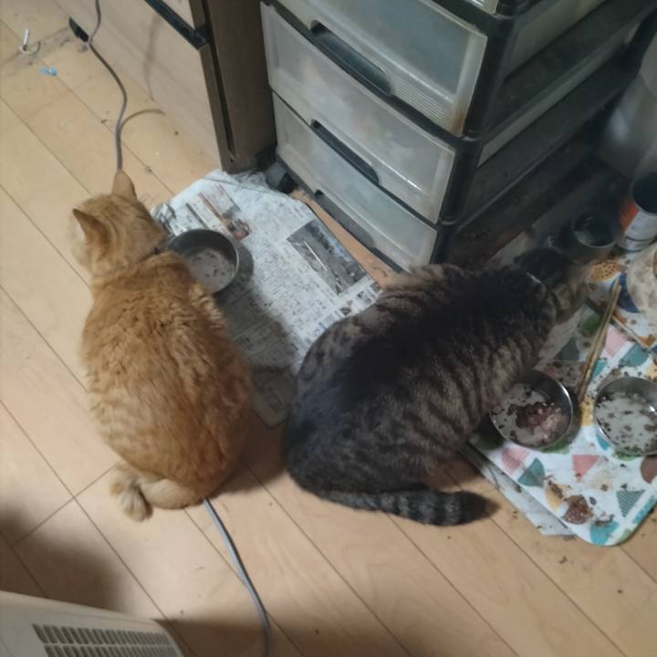 9b5c2037 deb9 401d b735 5d0313984820 1684281985872