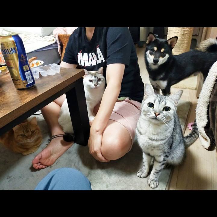 9b5c222f da10 4e0e 8a2e 12ebca112805 1603943563078