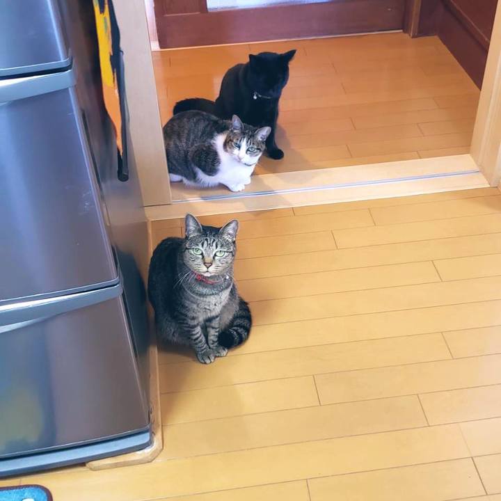 9b5c35b1 05d3 4e6a a011 ed790178da4b 1573479651119