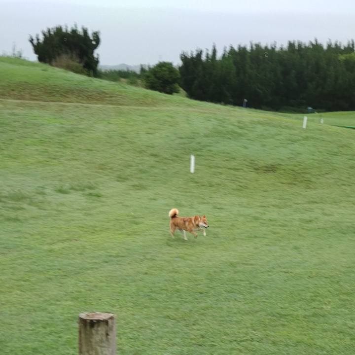 9b5c6658 108f 48a7 a417 a2e1e1b43fdc 1655677245115