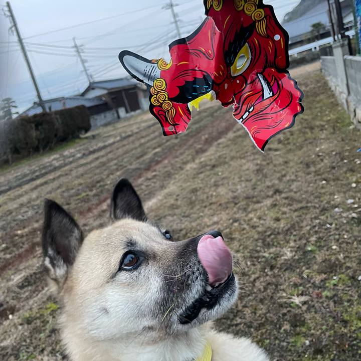 9b5c92ac defe 42db ba17 431053ac398d 1643889738407