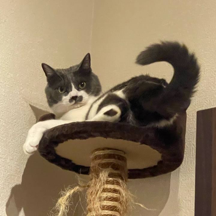 9b5ca80b f043 441a a07f 6196539b5e00 1752228728260