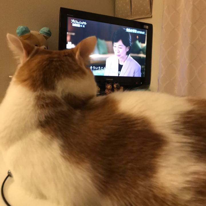 9b5cba51 736b 40a9 8e7e 371e9f8ad729 1572089144882