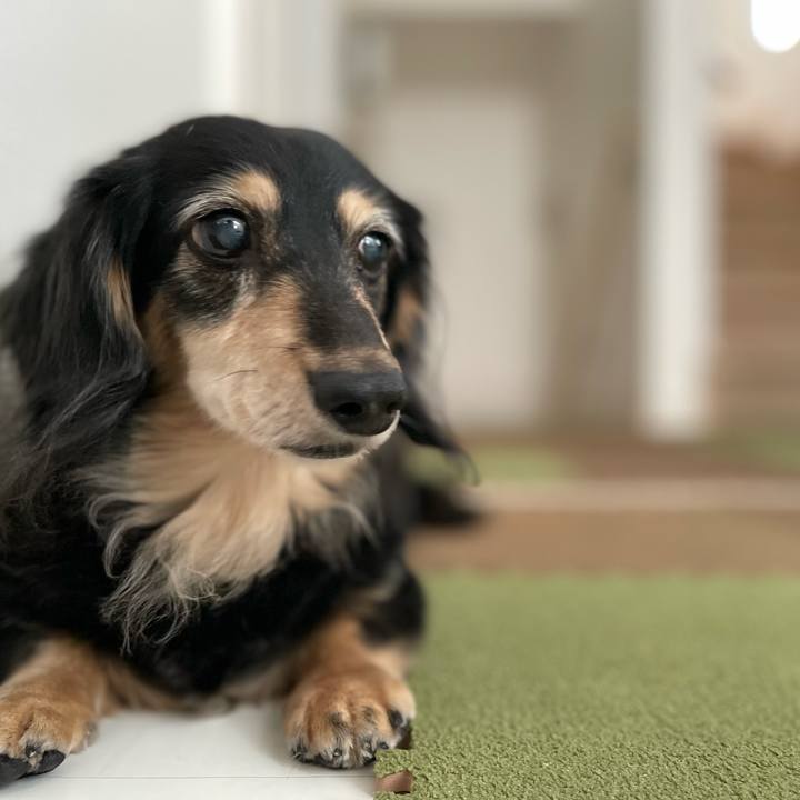 9b5cc4ed 0cdf 4c42 93f7 e48fc819f006 1693889217861