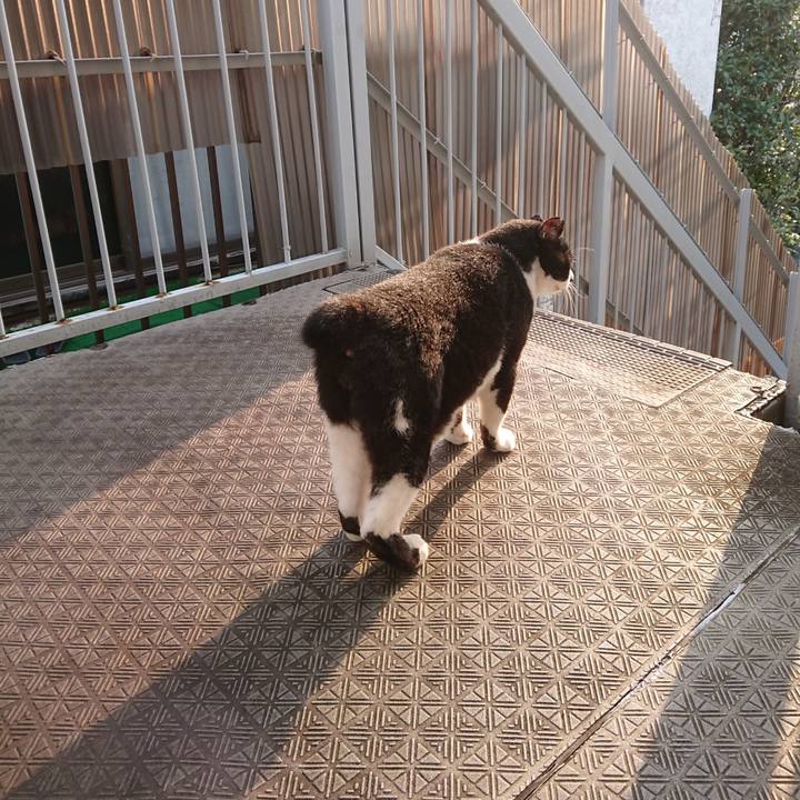 9b5cd6e7 fddc 4731 abe5 60c02104cd97 1597460888679