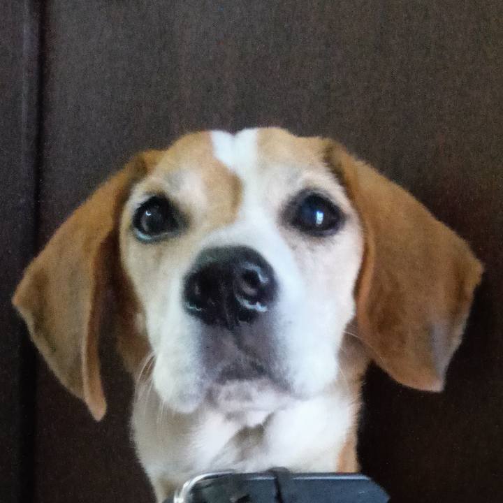 9b5ce763 5eac 4b15 b162 0f863c744348 1728641304968