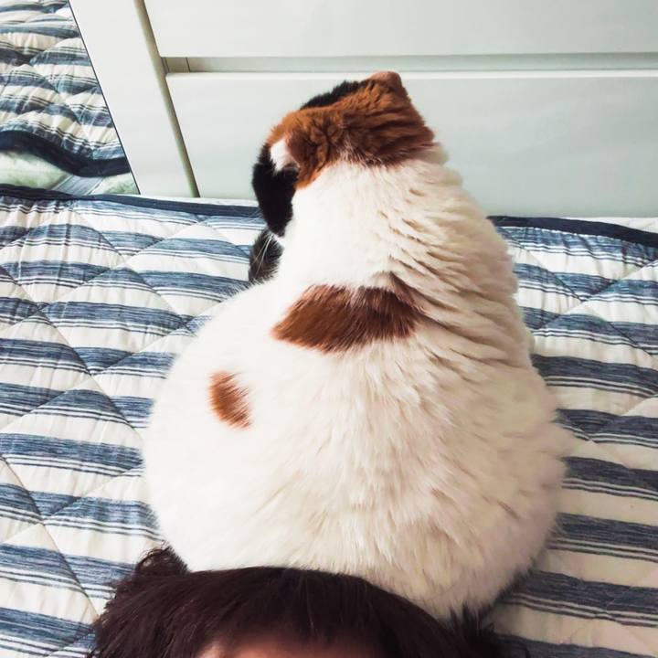 9b5ced4c 98db 4ecc ace3 e377df80d61a 1686284511660