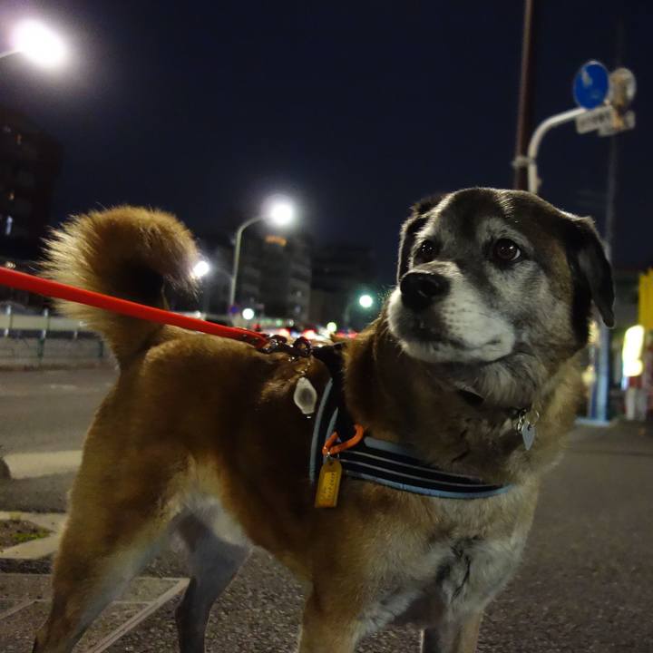 9b5cf84c b449 49af 8b90 7557f54643f2 1553510979706