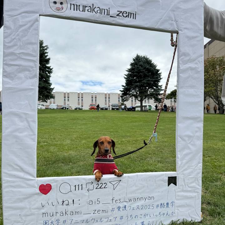 9b5d1d62 3cb6 450f 8360 3ed8c78ae384 1758446028102