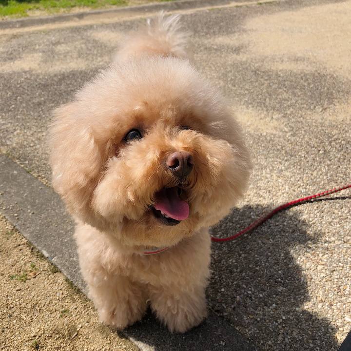 9b5d3340 9938 4fac bb41 91aa0f7b3df8 1522224699543