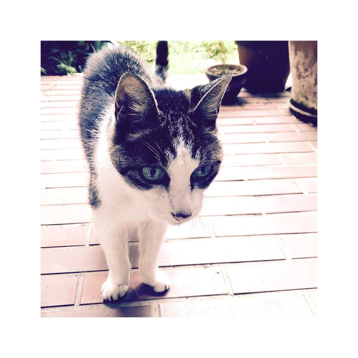 9b5d33a8 db84 417b a026 176be264a480 1662516282755