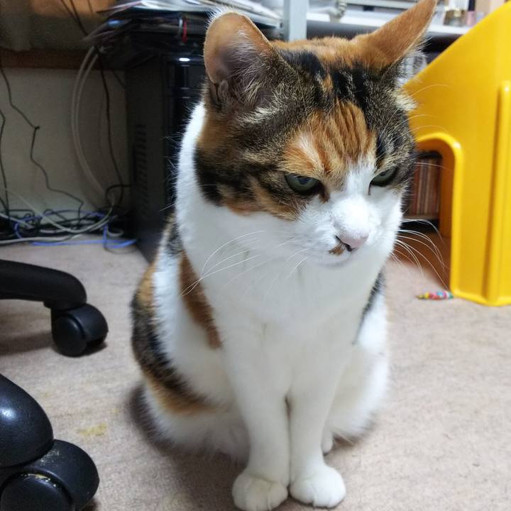 9b5d3e38 768e 4d4b a75e d907de7d07e6 1556533049894