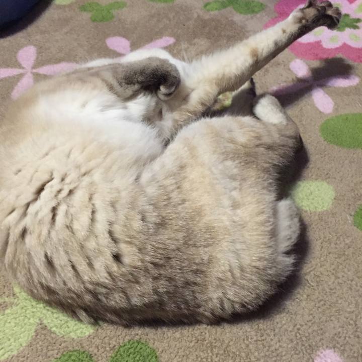 9b5d41a3 b9d1 447b bbf7 55bb48bf047c 1525601217768