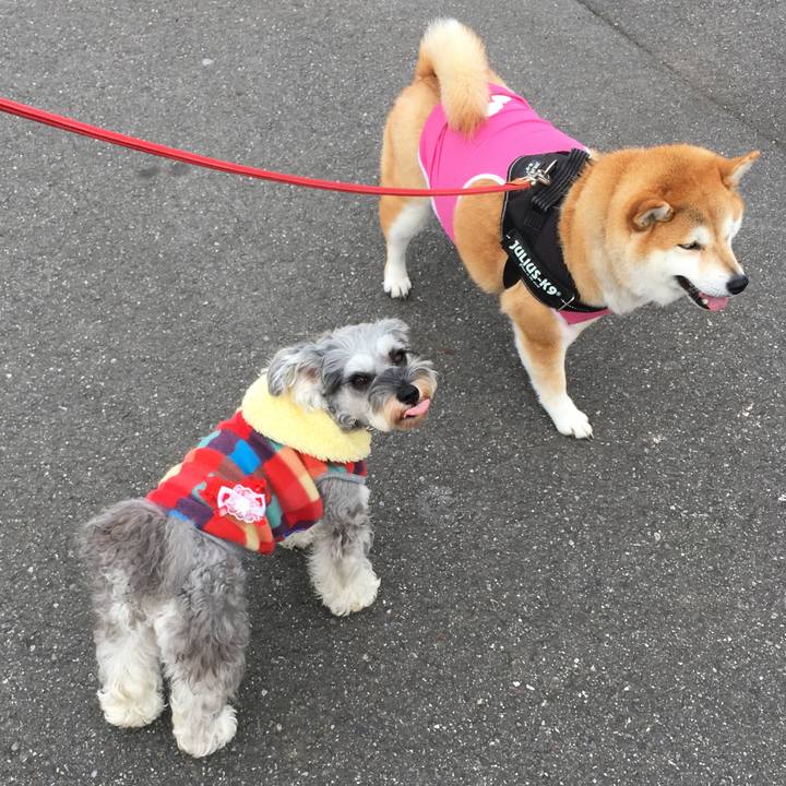 9b5d6d5a 231a 4949 9730 836b5d7d5935 1609905253915