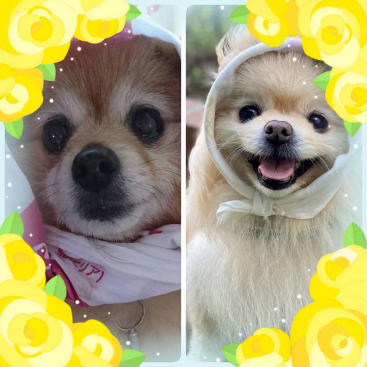 9b5d811b 161a 49d2 8f6e 955a5a98d14e 1718451540811