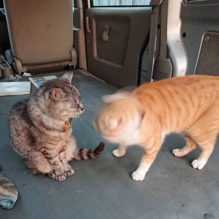 9b5d9253 8d23 4baa b20f 912ecd3963d8 1568233790523