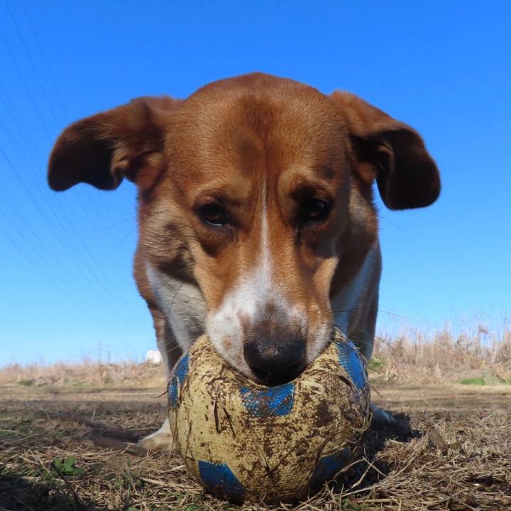 9b5d9b75 db7a 4493 a163 7d331066b132 1640831688804