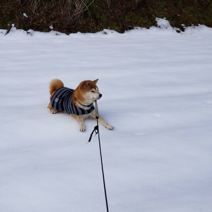 9b5e1bf6 beb6 4a1f bd8b 0c06b2e95b70 1579050775365