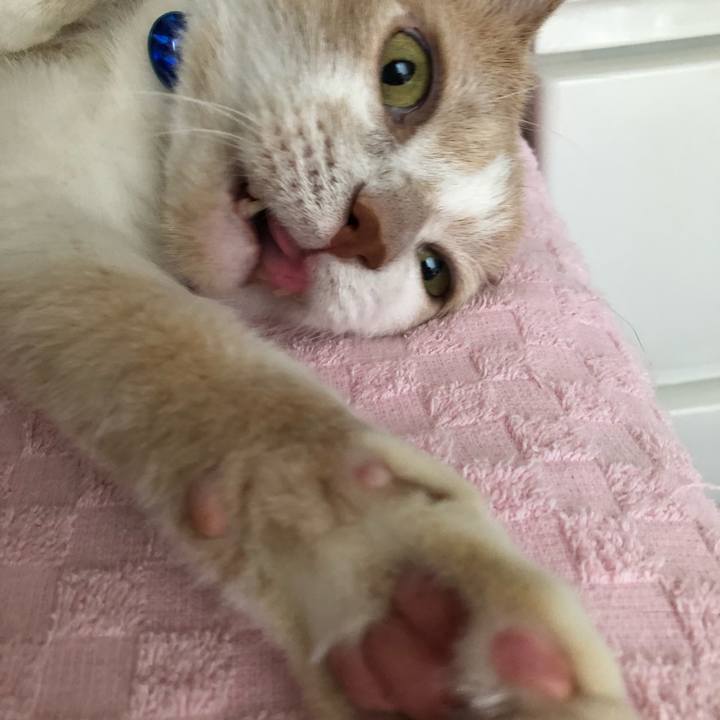 9b5e4c2d e9c8 4b04 b3b1 d20c84298238 1530139916169